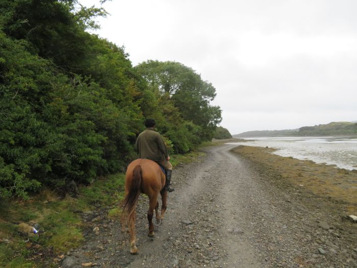 Riding Vacation in a 4* Hotel near Westport