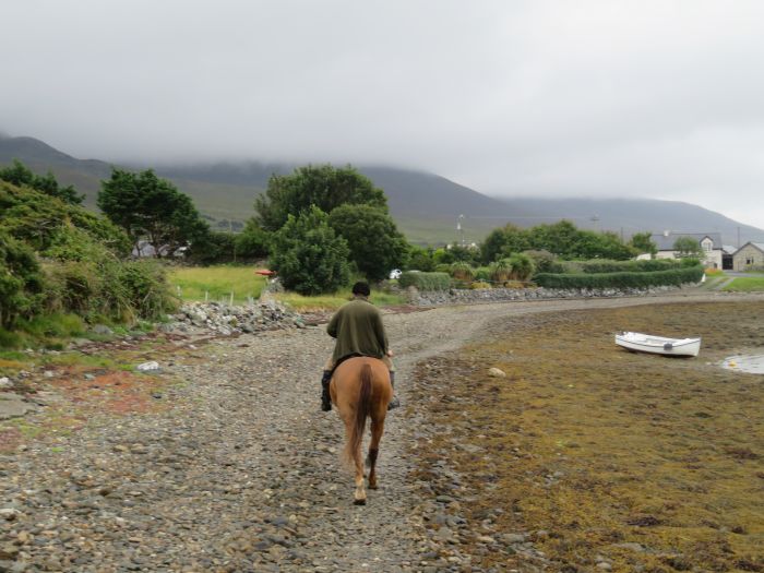 Riding Vacation in a 4* Hotel near Westport