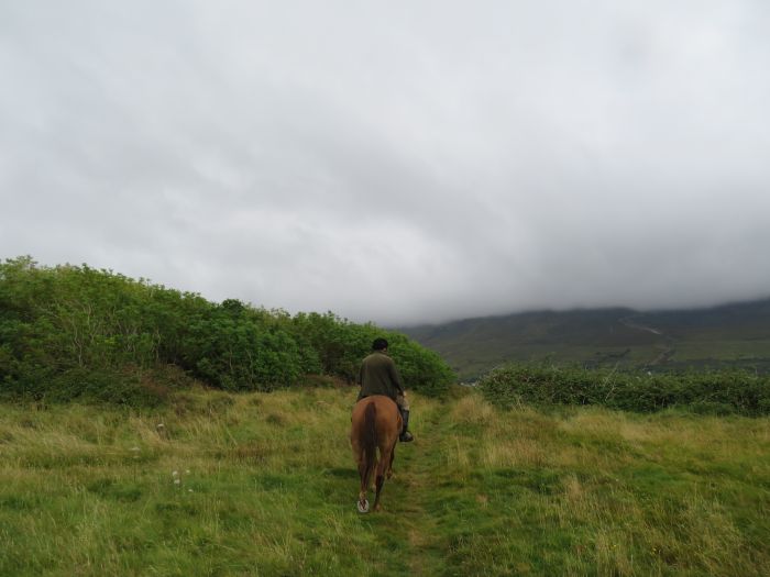 Riding Vacation in a 4* Hotel near Westport