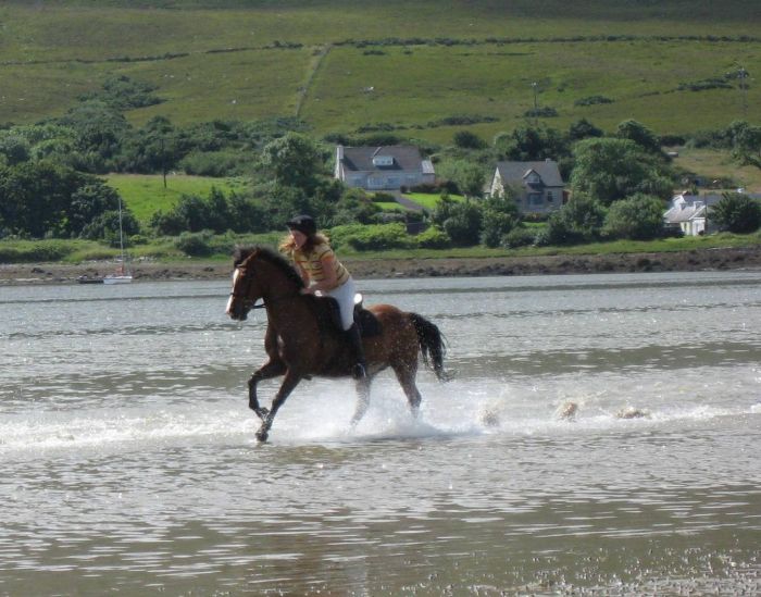 Riding Vacation in a 4* Hotel near Westport