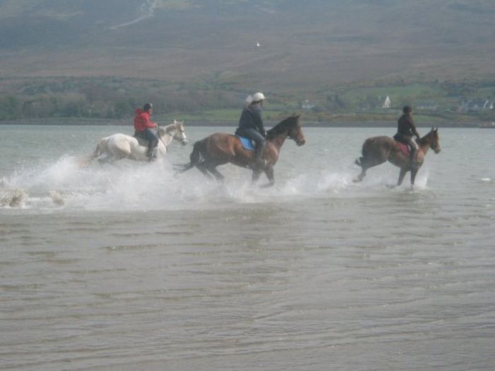 Riding Vacation in a 4* Hotel near Westport