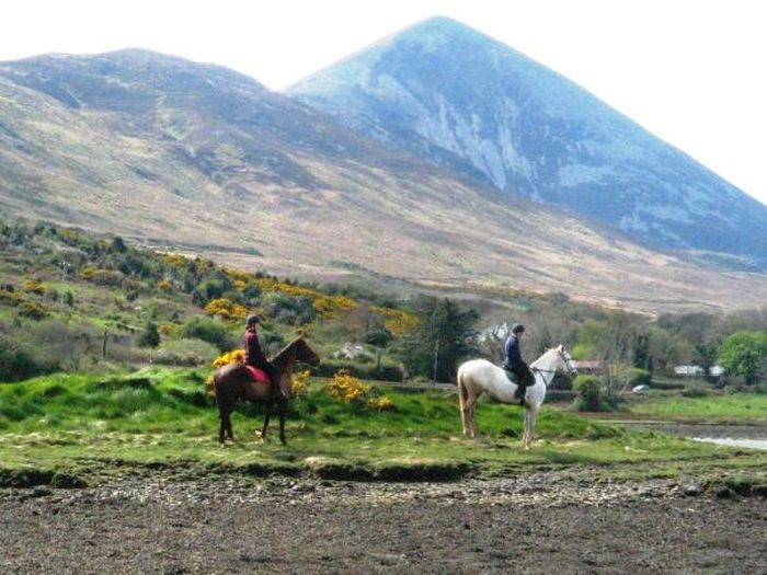 Riding Vacation in a 4* Hotel near Westport