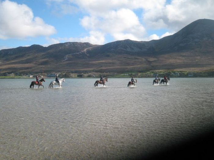 Riding Vacation in a 4* Hotel near Westport