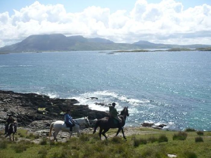 Riding Vacation in a 4* Hotel near Westport