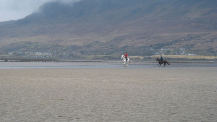 Riding Vacation in a 4* Hotel near Westport