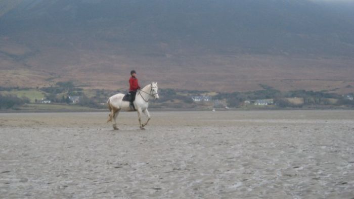 Riding Vacation in a 4* Hotel near Westport