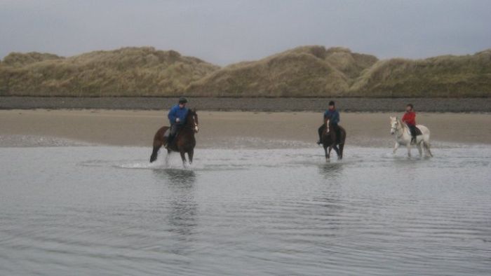 Riding Vacation in a 4* Hotel near Westport
