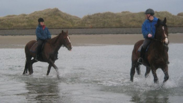 Riding Vacation in a 4* Hotel near Westport