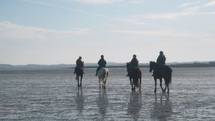 Riding Vacation in a 4* Hotel near Westport