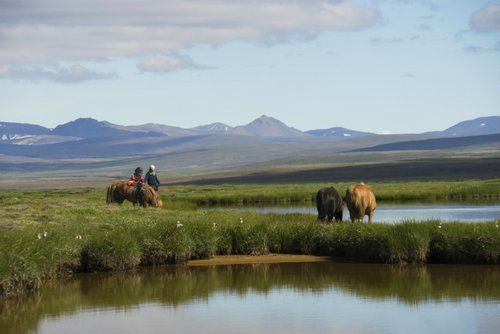 The treasures of Borgarfjördur