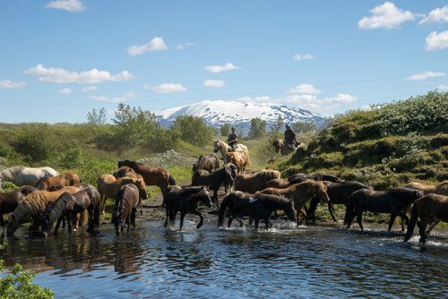 The treasures of Borgarfjördur
