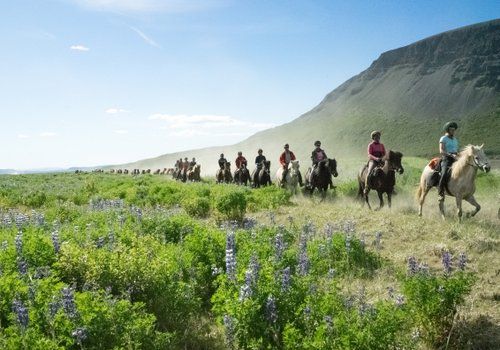 The treasures of Borgarfjördur