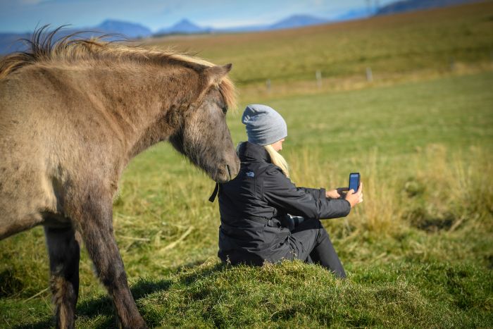 The treasures of Borgarfj&ouml;rdur