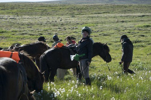 The treasures of Borgarfjördur