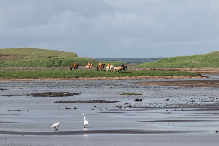Krysuvík Ride