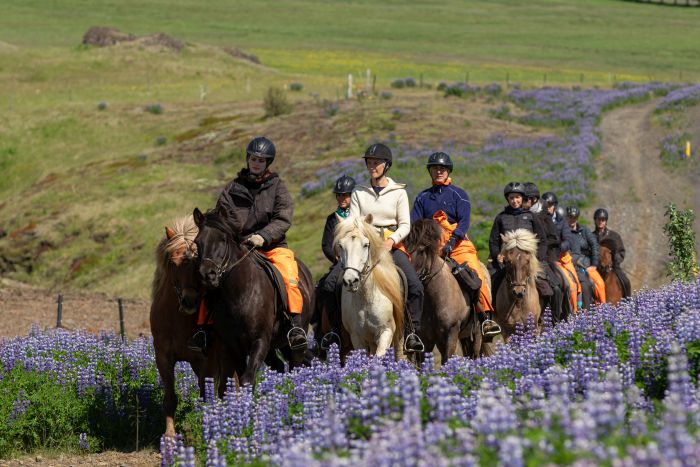 Krysuvík Ride