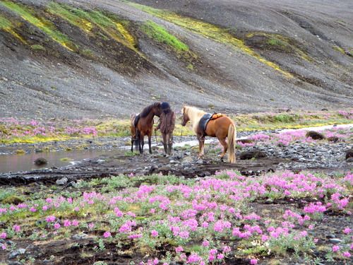 Hekla Wilderness Ride