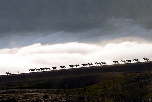 Hekla Wilderness Ride