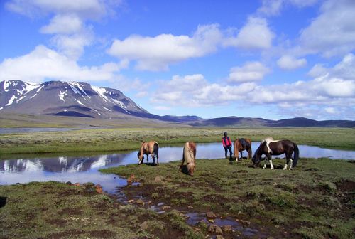 Hekla Wilderness Ride