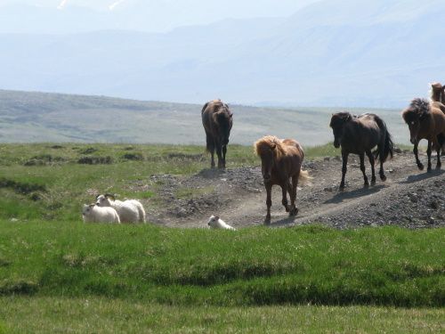 Hekla Wilderness Ride