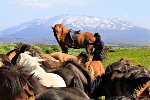 Hekla Wilderness Ride