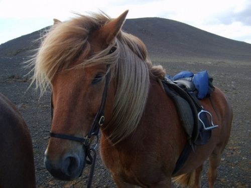 Hekla Wilderness Ride