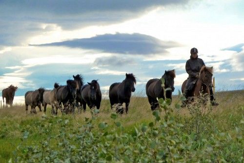 Hekla Wilderness Ride