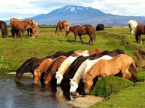 Hekla Wilderness Ride