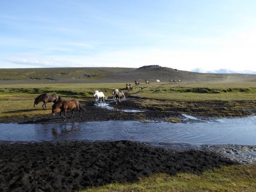 Hekla Wilderness Ride