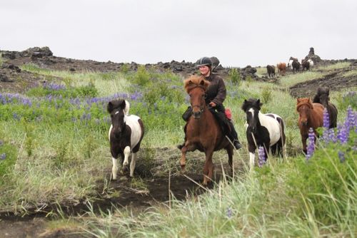Hekla Wilderness Ride