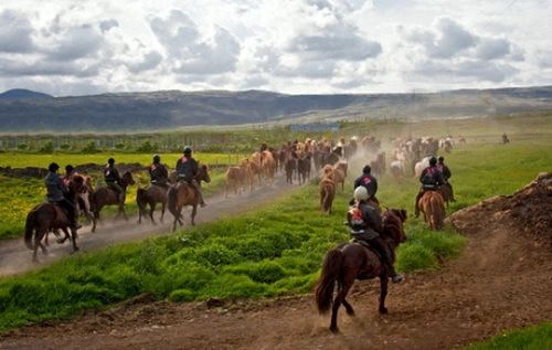 Hekla Wilderness Ride