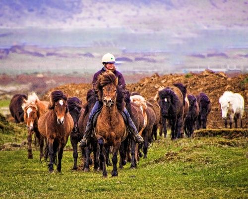 Hekla Wilderness Ride