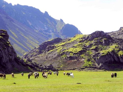 Hekla Wilderness Ride