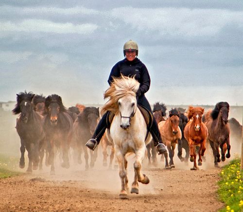 Hekla Wilderness Ride