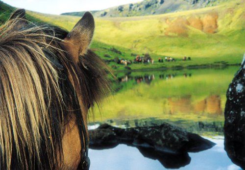 Iceland with Comfort