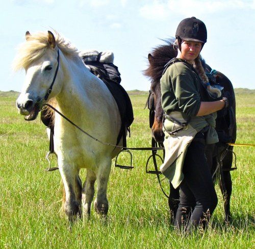 Iceland with Comfort