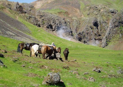 Iceland with Comfort