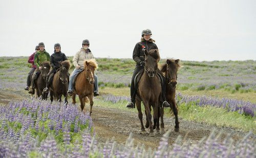 Iceland with Comfort