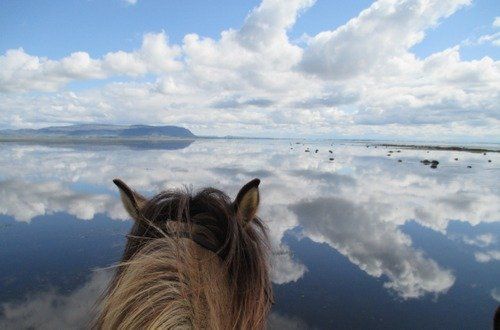 Iceland with Comfort