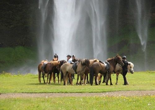 Thórsmörk Ride