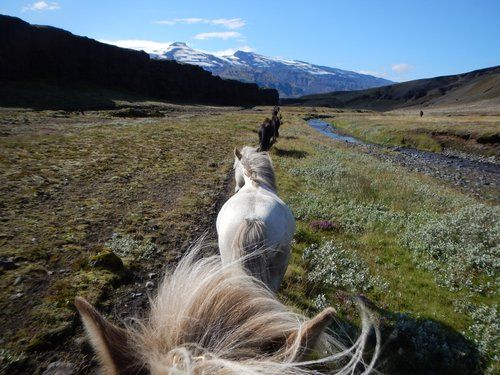 Thórsmörk Ride