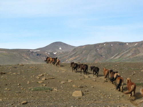 Kjölur Ride
