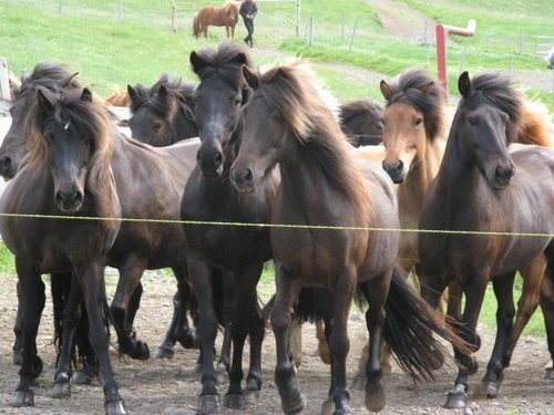 Kjölur Ride