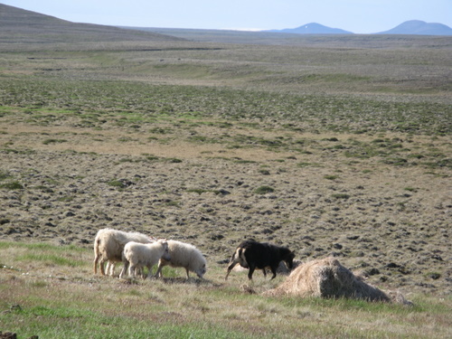 Kjölur Ride
