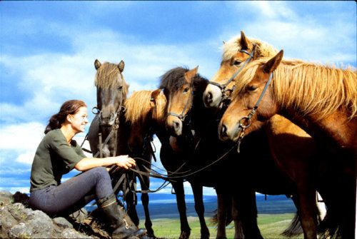 South of Iceland Tour