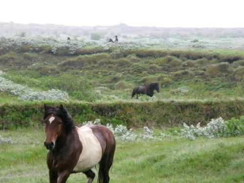 South of Iceland Tour