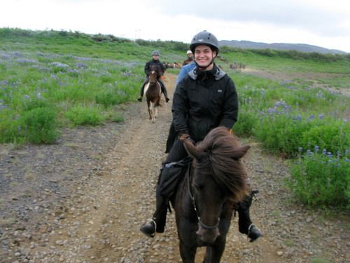 South of Iceland Tour