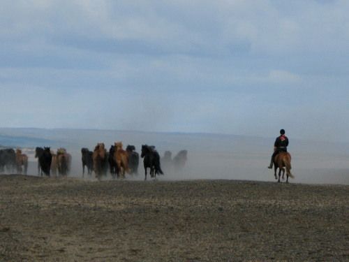South of Iceland Tour