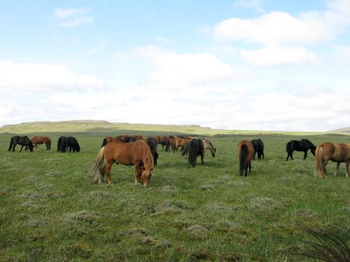 South of Iceland Tour