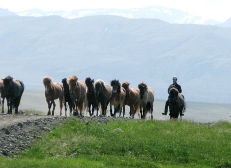 South of Iceland Tour